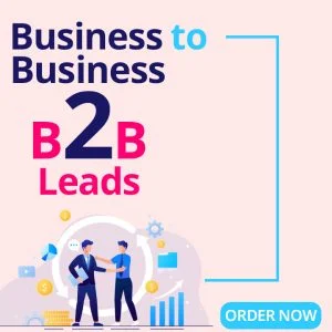 buy b2b sales leads